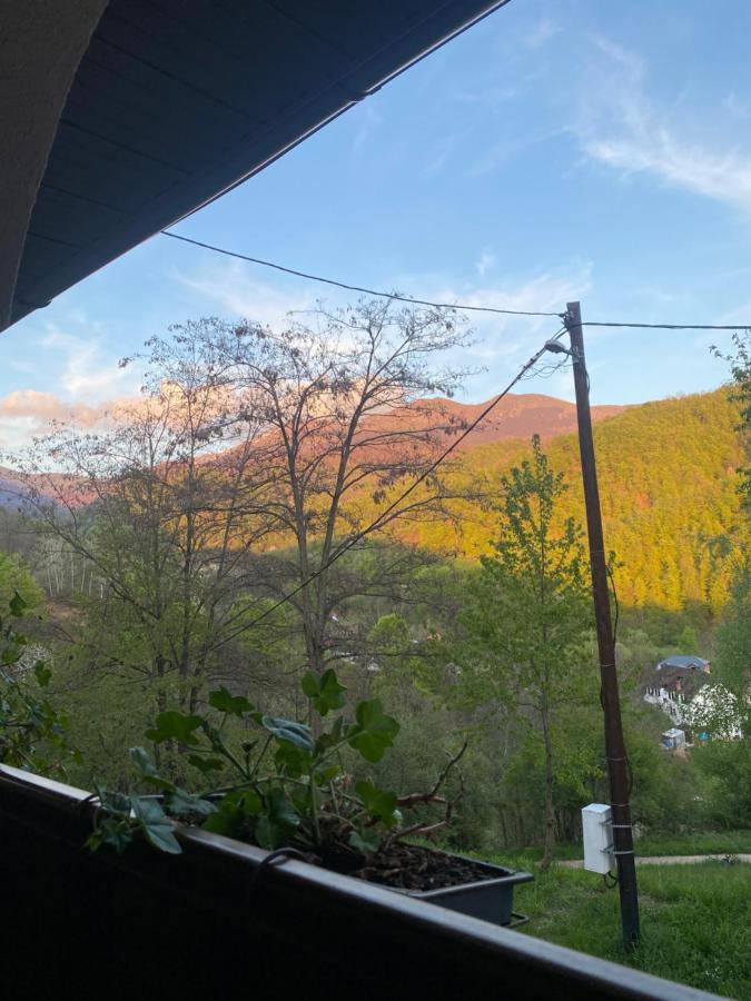 Kuca Za Odmor ,,Balkan” Crni Vrh Екстериор снимка