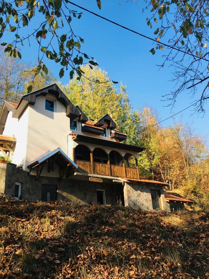 Kuca Za Odmor ,,Balkan” Crni Vrh Екстериор снимка